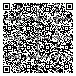 vCard 79510700385