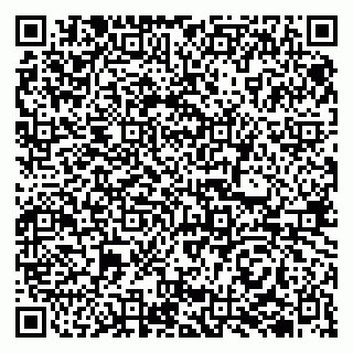 vCard 79510700387