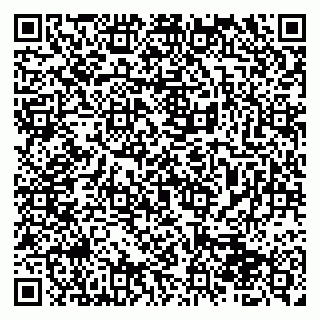 vCard 79510700389