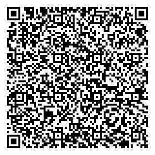vCard 79510700393