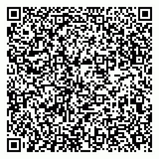 vCard 79510700399