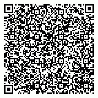 vCard 79511575209