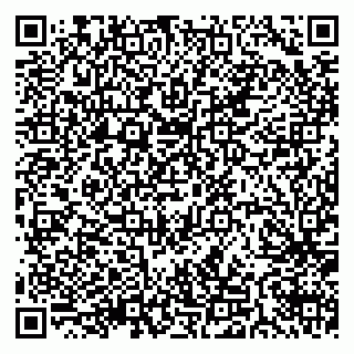 vCard 79511575232