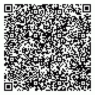 vCard 79511575235