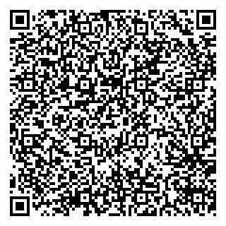 vCard 79511575247