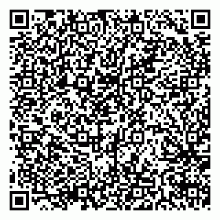 vCard 79511575253