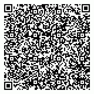vCard 79511575297