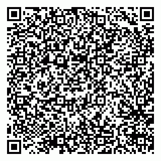vCard 79511575304