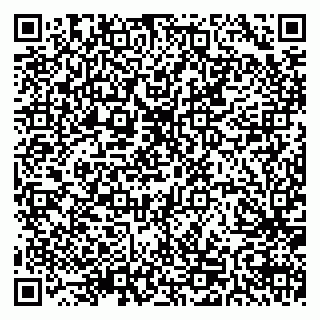 vCard 79511575329
