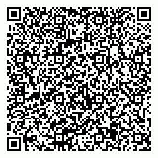 vCard 79511575376