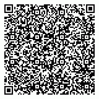 vCard 79511575379