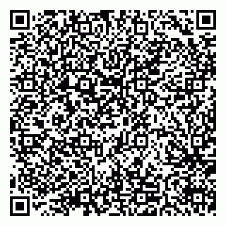 vCard 79511575400