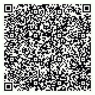 vCard 79511575489