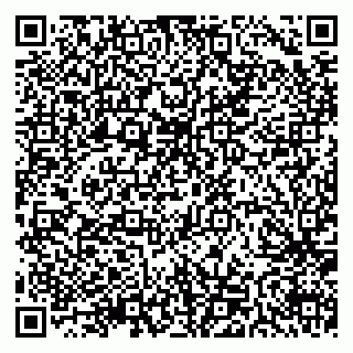 vCard 79511575499