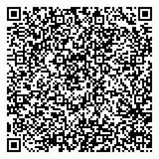 vCard 79511576431