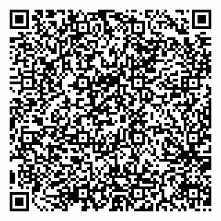 vCard 79511576497