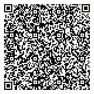 vCard 79511576704