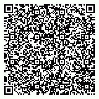 vCard 79511577204