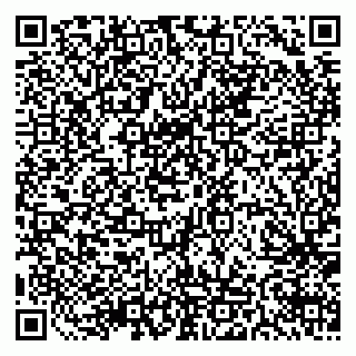 vCard 79511577205