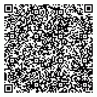 vCard 79511577221