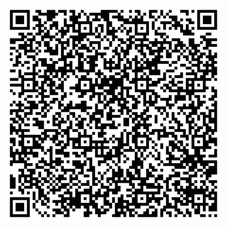 vCard 79511577281