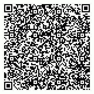 vCard 79511577290