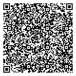 vCard 79511577295