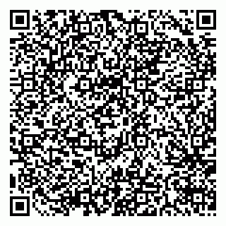 vCard 79511577297