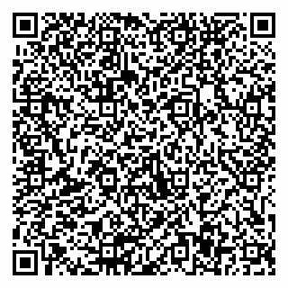 vCard 79511577299