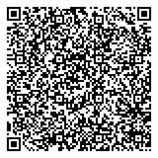 vCard 79511577313