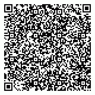 vCard 79511577331