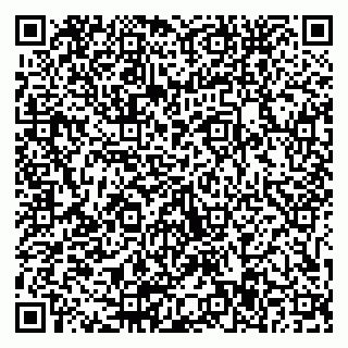 vCard 79511577333
