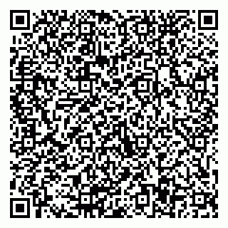 vCard 79511577339