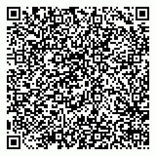 vCard 79511577381