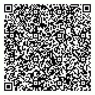 vCard 79511577384