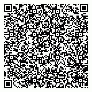 vCard 79511577387