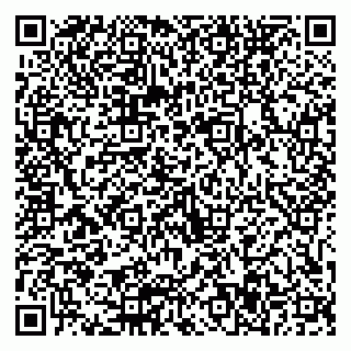 vCard 79511577403