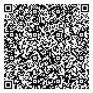 vCard 79511577528