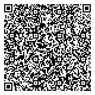 vCard 79511578532