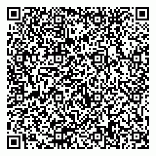 vCard 79511578735
