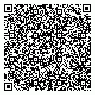 vCard 79511579009