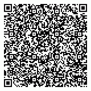 vCard 79511580001
