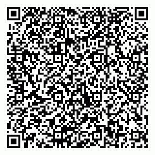 vCard 79511580089