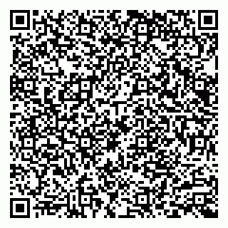 vCard 79511580099