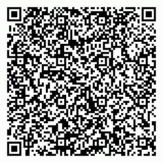 vCard 79511580103