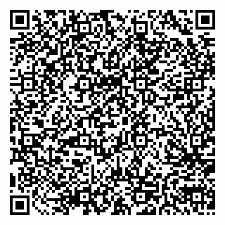 vCard 79511580129