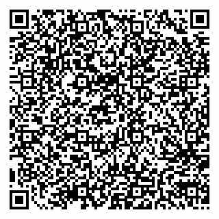 vCard 79511580131
