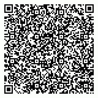 vCard 79511580133