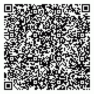 vCard 79511580139