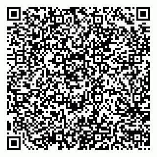 vCard 79511580251